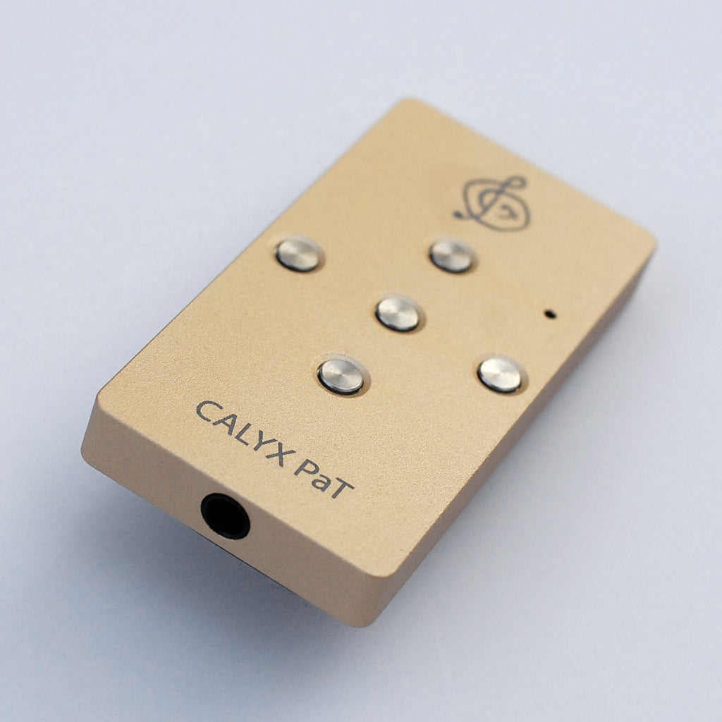 CALYX PAT – USB DAC and Headphone Amp